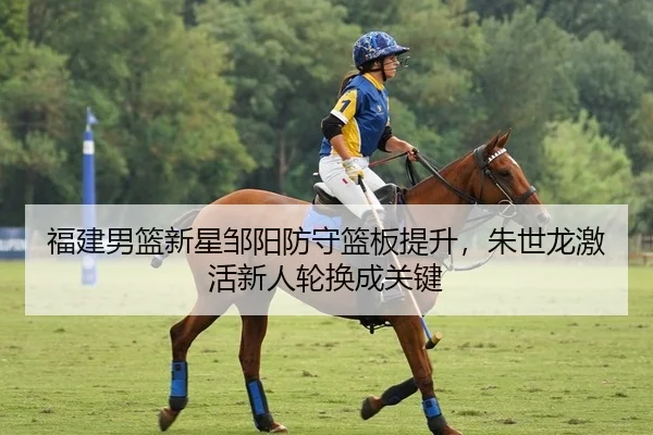 福建男篮新星邹阳防守篮板提升，朱世龙激活新人轮换成关键
